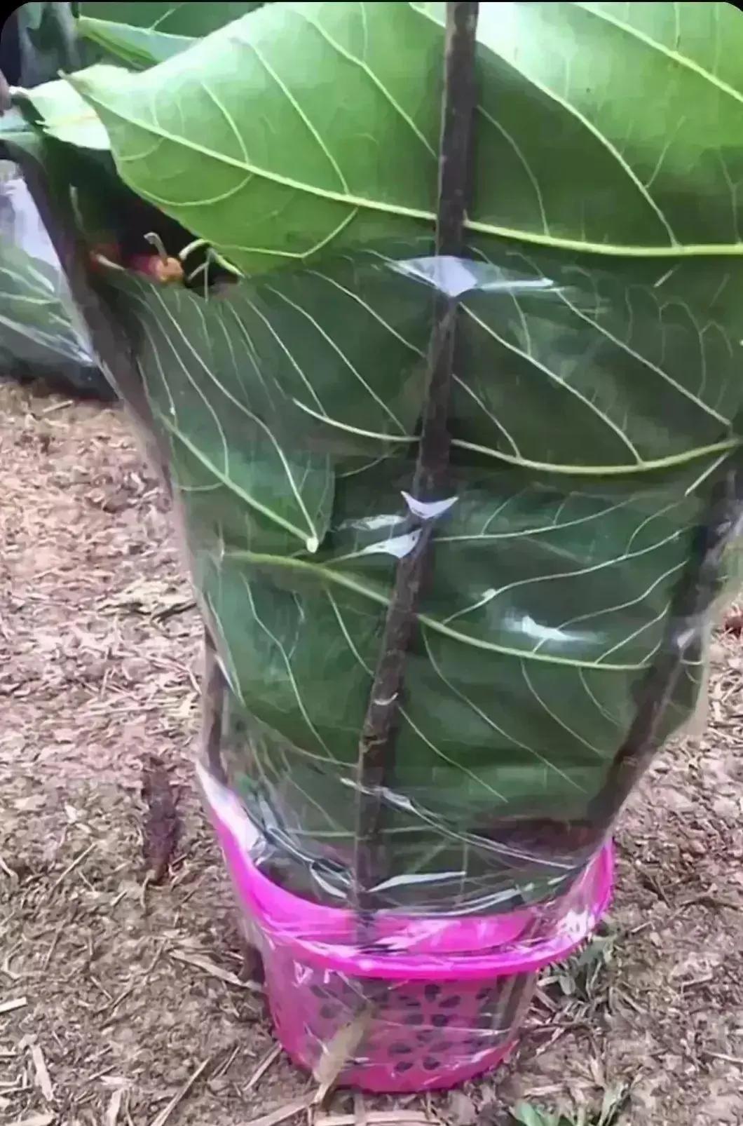 老公压力太大崩溃了怎么安慰,压力大怎么办如何缓解压力视频