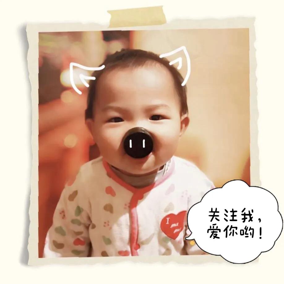 在厦门生活,在厦门生活工作的感受