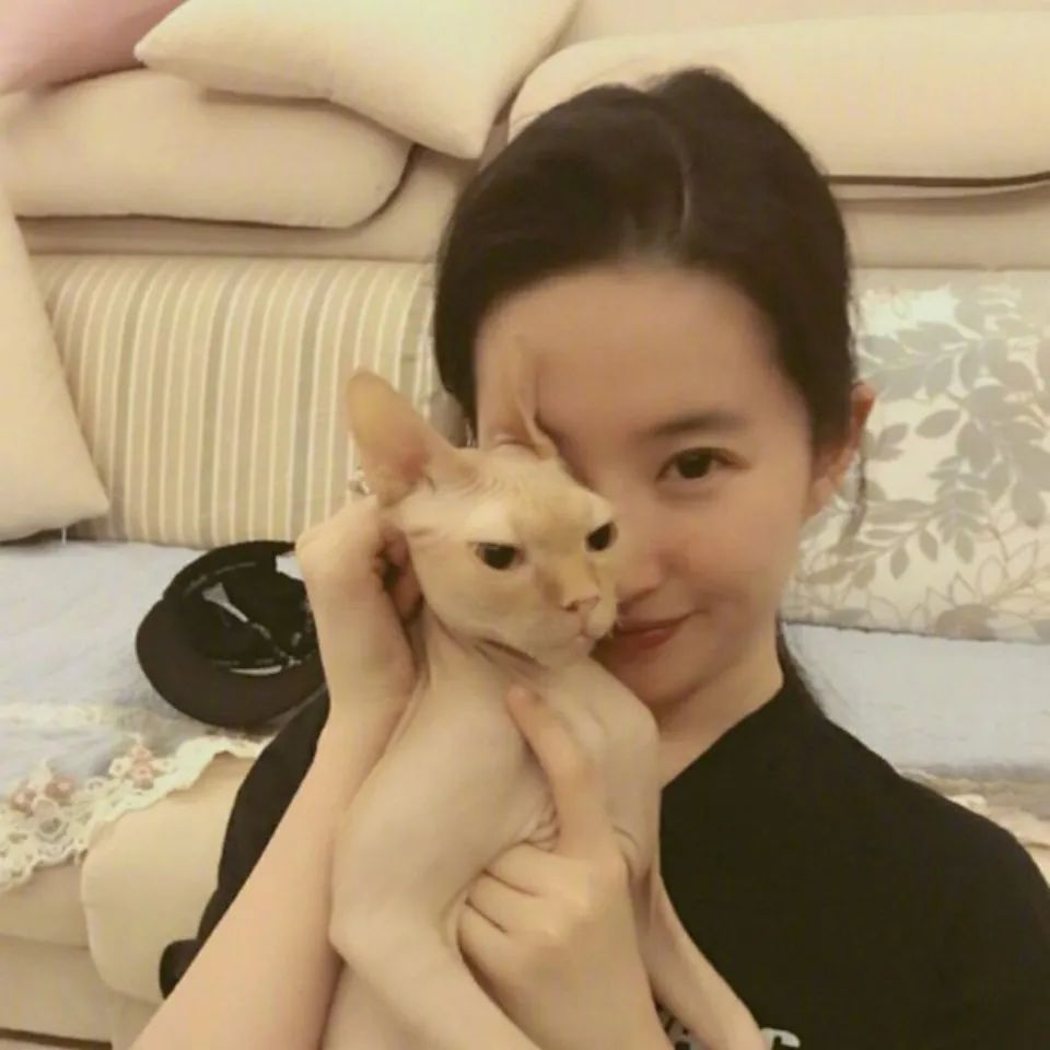 头像好看系列,头像好看的图案