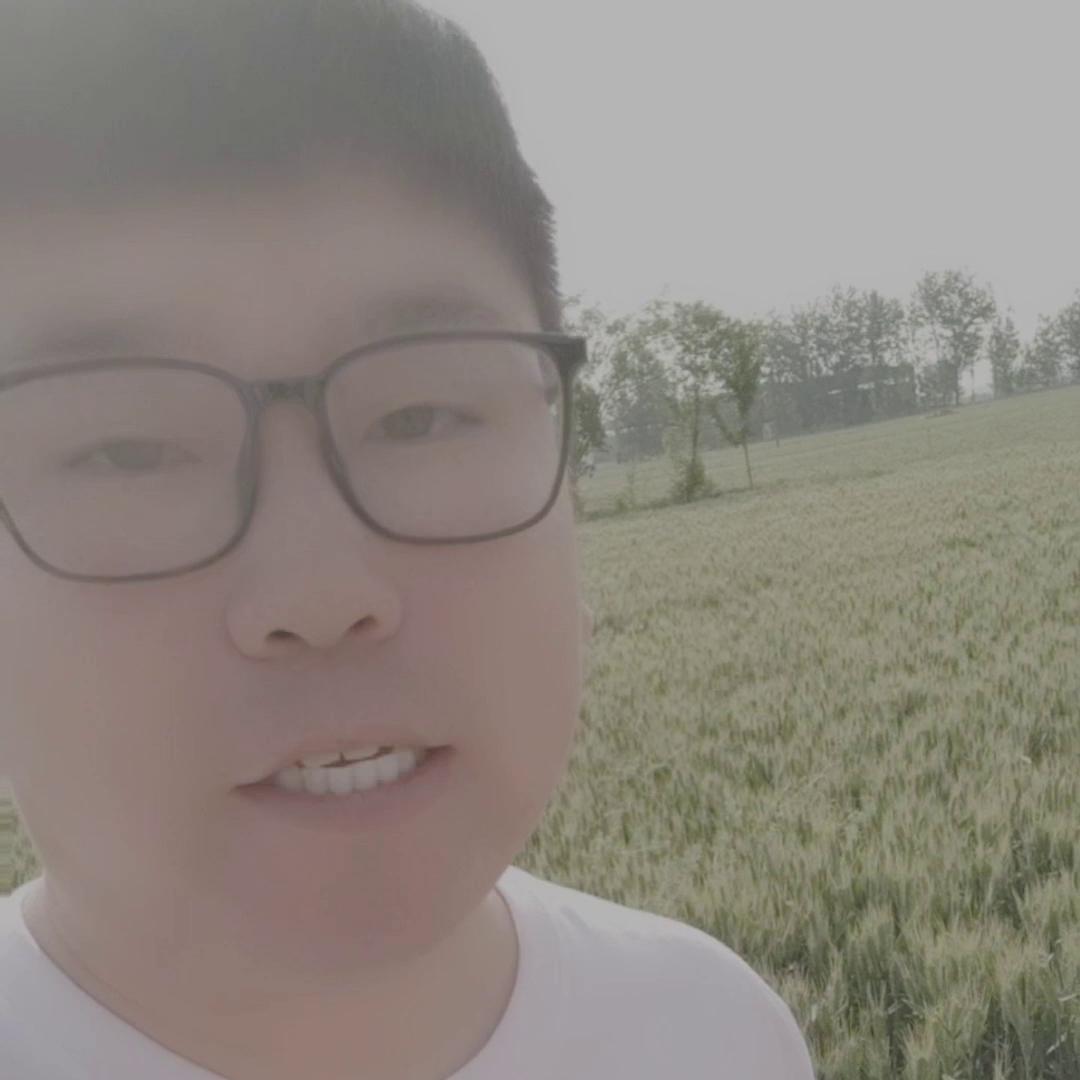 100元左右的玉米能买什么,100元的玉米肥