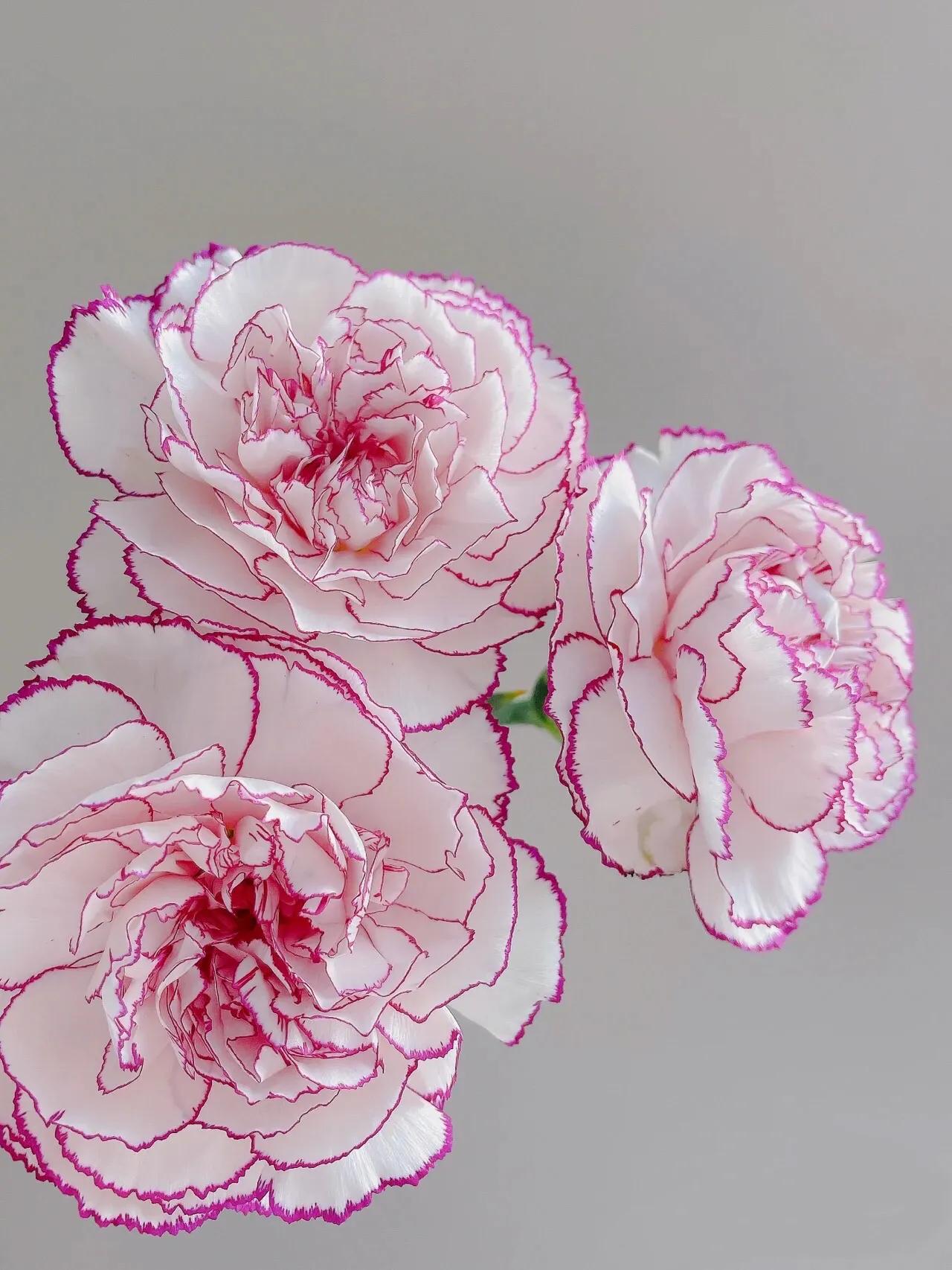 母亲节暖心文案给老婆,母亲节暖心文案