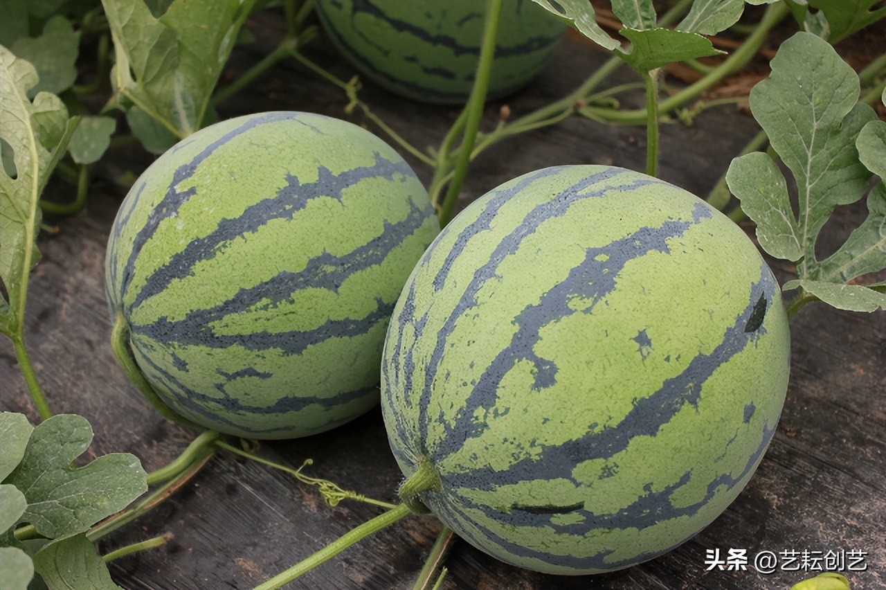 全国地理标志农产品目录系列之——辽宁省（二）