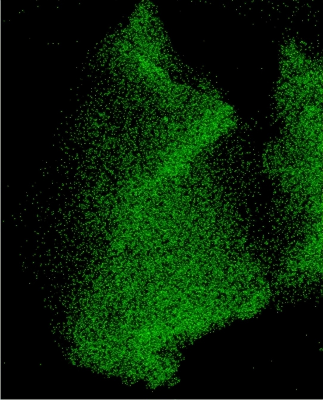 显微镜下奇妙的微观世界,显微镜下的化学