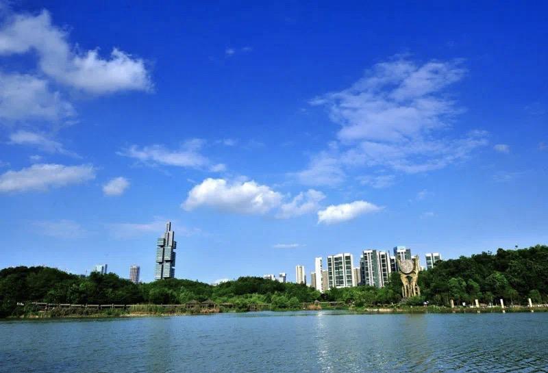 贵阳版“挖呀挖呀挖”来了～