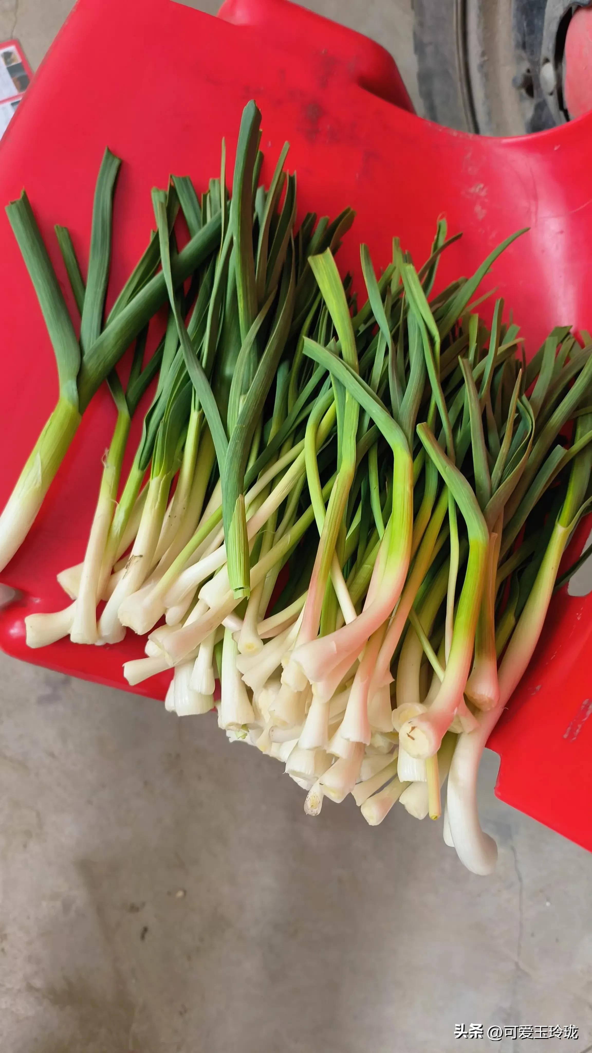 鐒﹁檻娌绘剤瑙嗛,鐒﹁檻鑳借嚜鎰堝悧