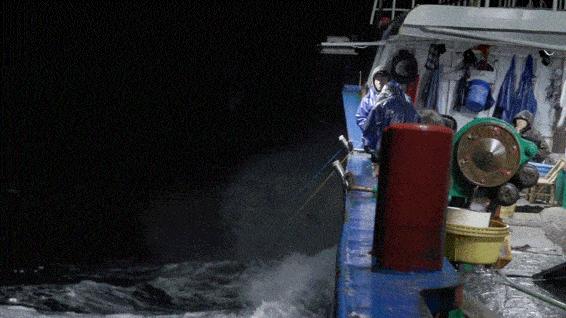 浙江渔民一网捞2000多斤黄鱼,宁波渔民捕获1500多斤野生黄鱼