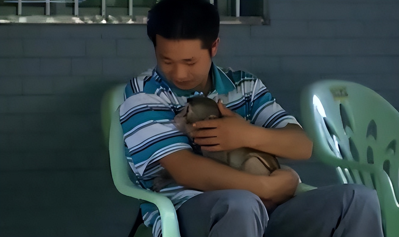 重庆小伙救下一只猕猴,重庆男子救助野生猕猴