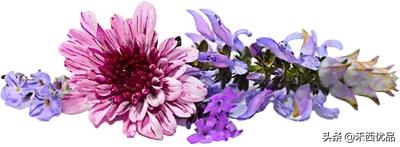 奶牛的饲养,奶牛的饲养成本与利润