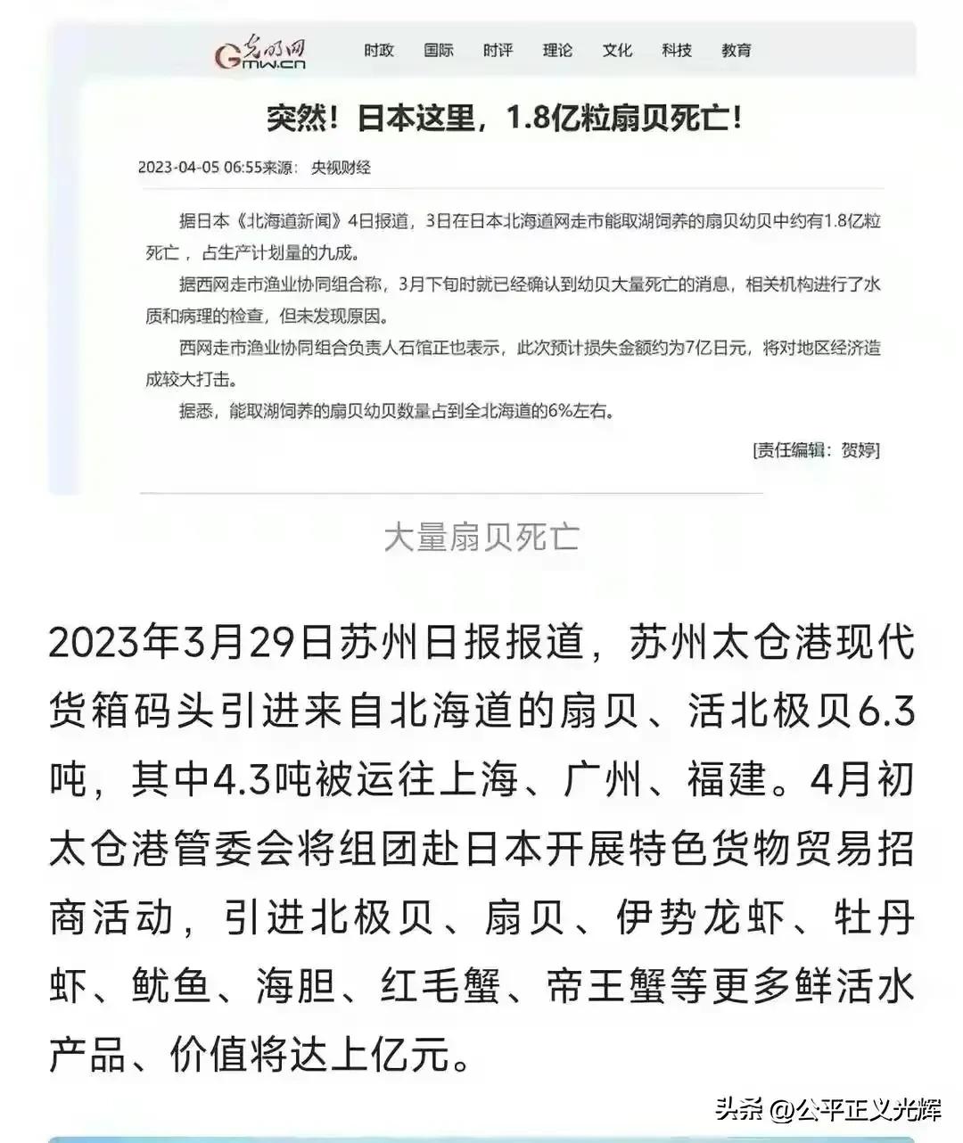 进口日本海鲜的是哪个公司,中国公司进口日本海鲜