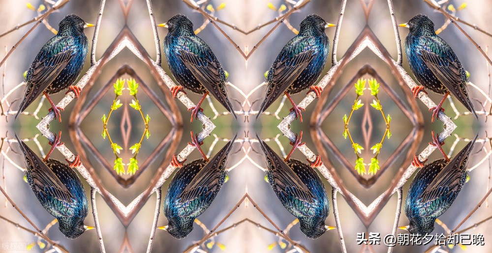 初中学好物理的方法和技巧,揭秘刚上初二学好物理的三大要点