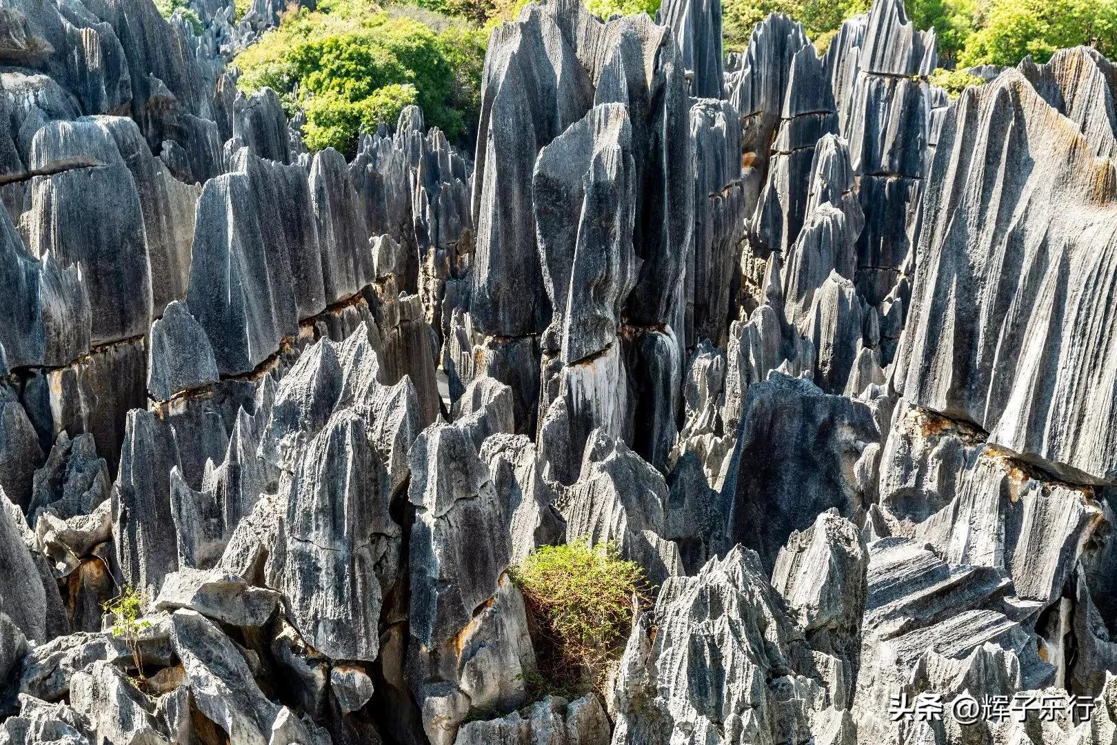 世界自然遗产云南石林,云南石林亿万年形成的地质奇观