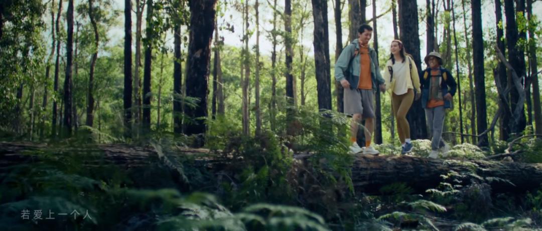 钑変笅鎴峰,钑変笅鎴峰杩愬姩