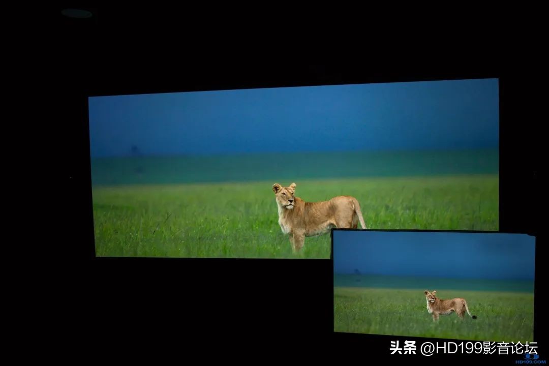 jvcn98和jvcn118实际效果差别大吗,jvcn118配什么幕布