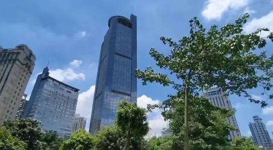 创殇•从医生到负翁「4」