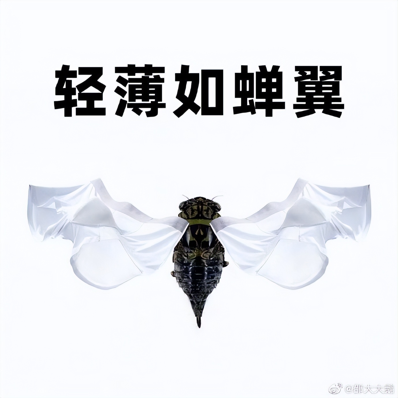 淘宝卖家618怎么运营,淘宝运营最新618