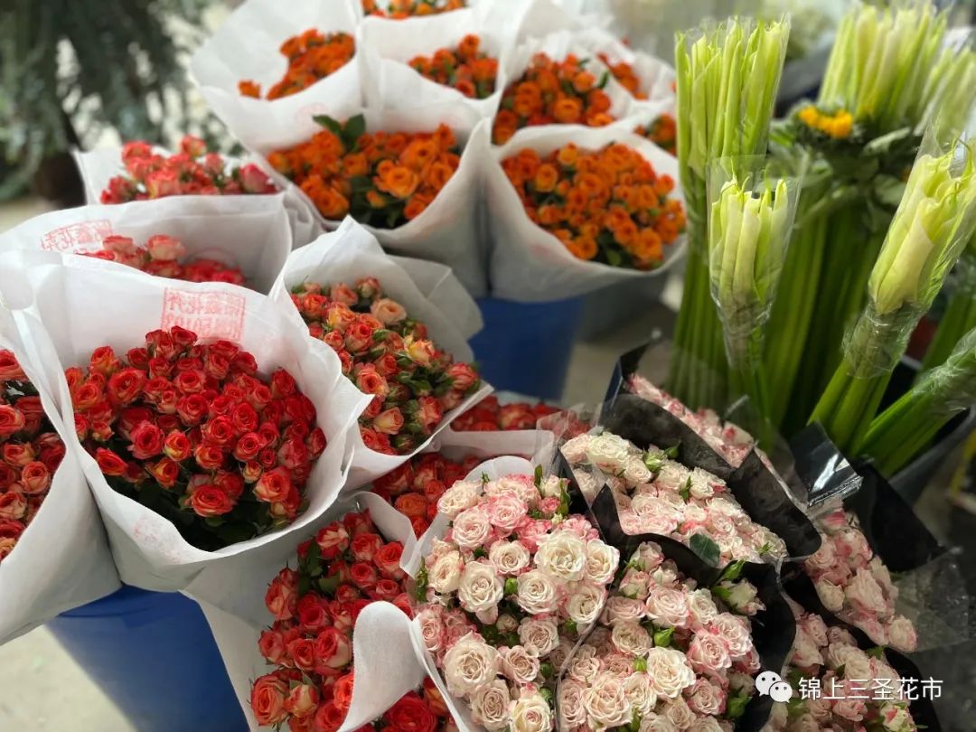 成都花市营业时间,成都2024花市时间表