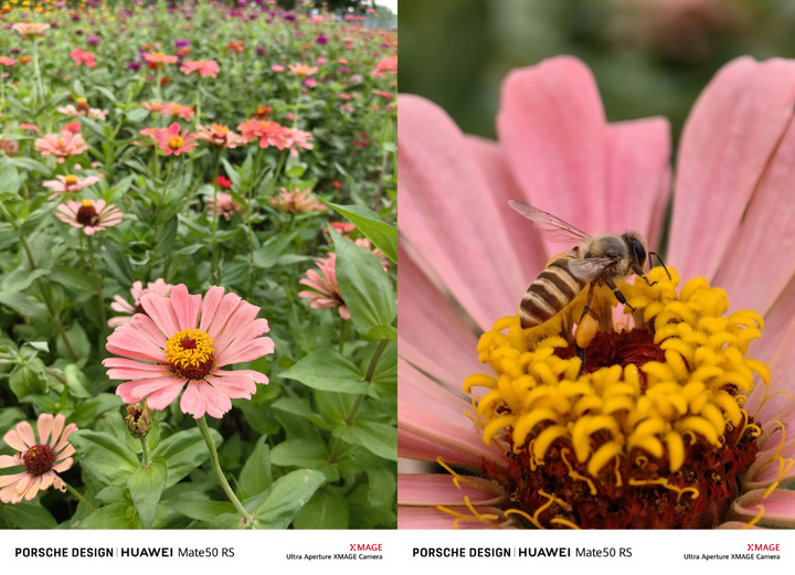 华为Mate50RS保时捷设计体验：生而峥嵘的「少数产品」