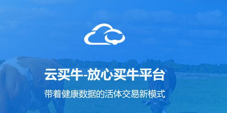 买牛必背口诀,如何买牛基础知识