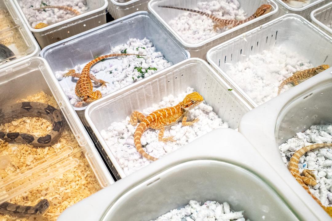 2022索尼摄影大赛征稿,2022索尼世界摄影大赛