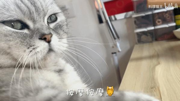 六百万网红想洗白反被封，他哭了狗笑了？网友：他活该