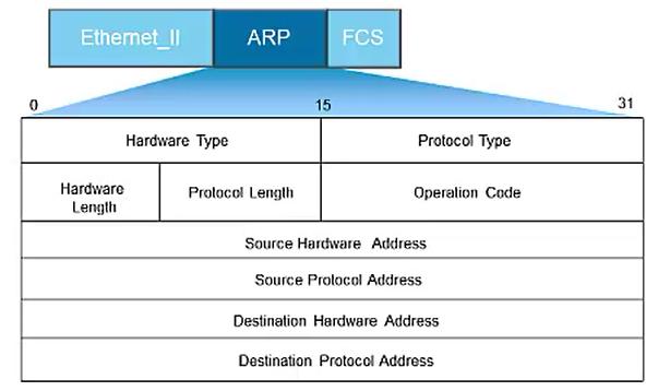 arp协议格式,arp协议攻击