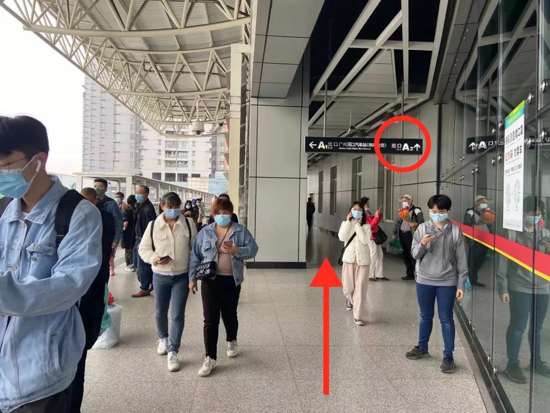 广州芳村花卉市场开市,广州岭南花卉天光墟开市时间