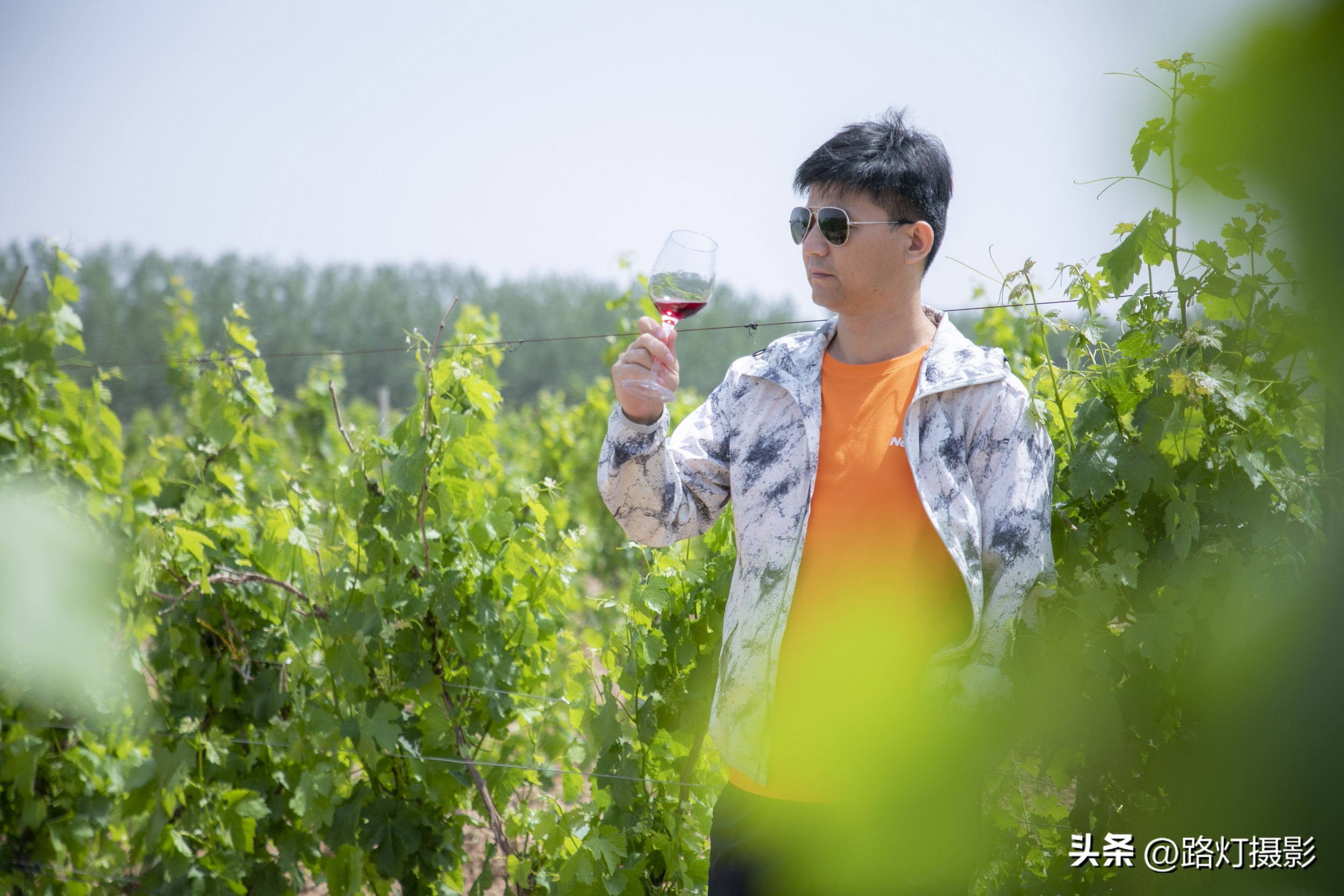 打卡世界级白酒庄园,打卡世界级白酒红酒