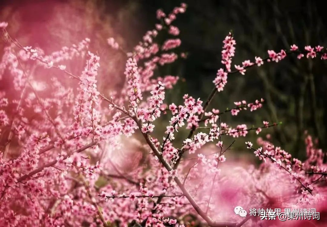 《将帅故里——果州诗词》2023年第九期（刘刚诗词辑）