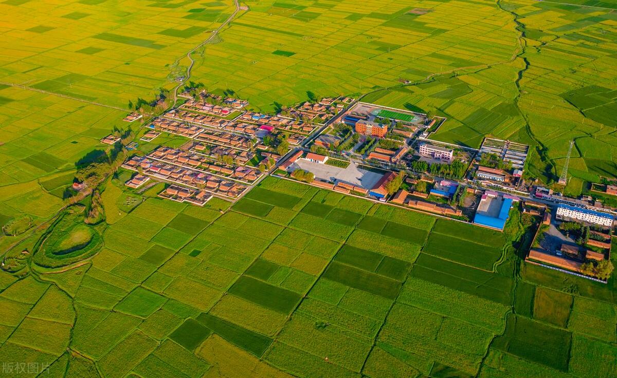 农村致富机会有哪些,农村村民致富好项目有哪些