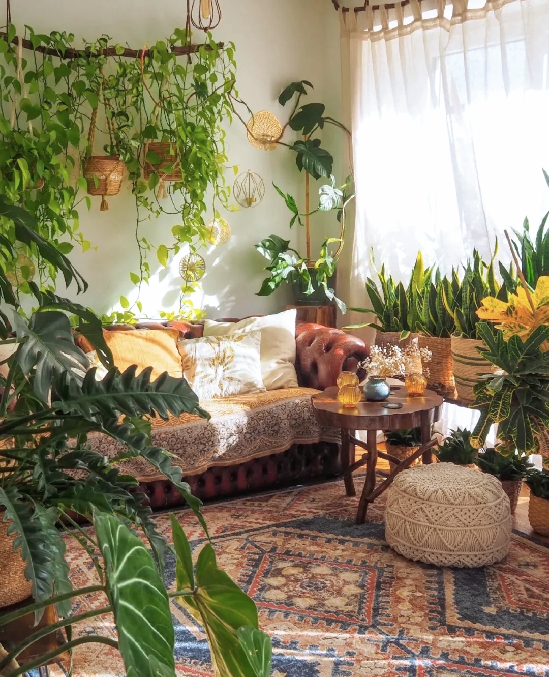 客厅有树对风水有何影响,客厅树木风水布局