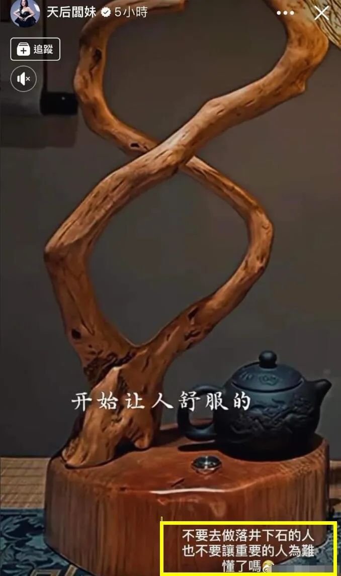 弯弯贵妇王思佳被爆背假包，跟贵妇当闺蜜压力这么大吗？