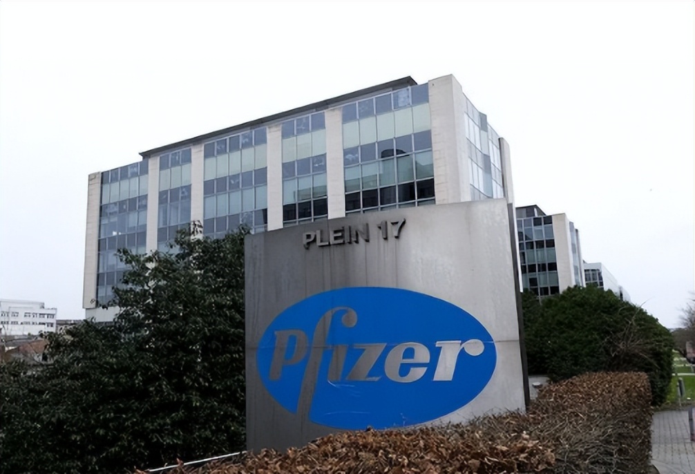 辉瑞发展史,辉瑞发家史