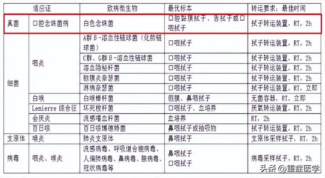 施毅最新讲座视频,施毅医生怎么样