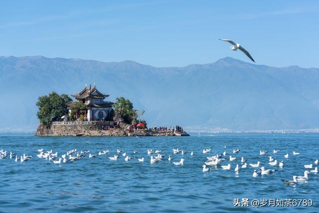 如何提高政治能力发言材料,如何提高发言能力和思路的方法