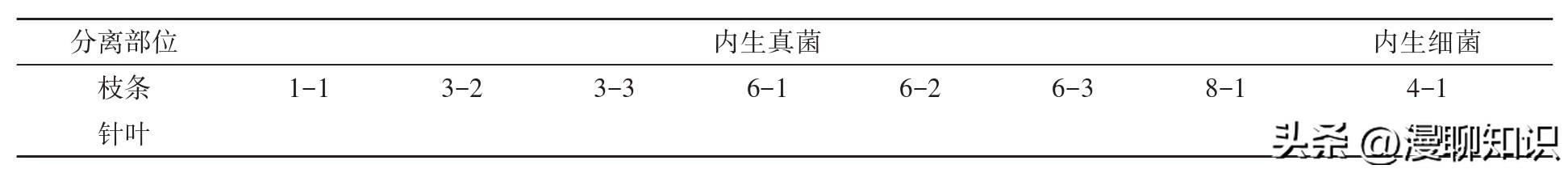 红豆杉的哪些细胞合成紫杉醇,红豆杉中控制紫杉醇形成的结构