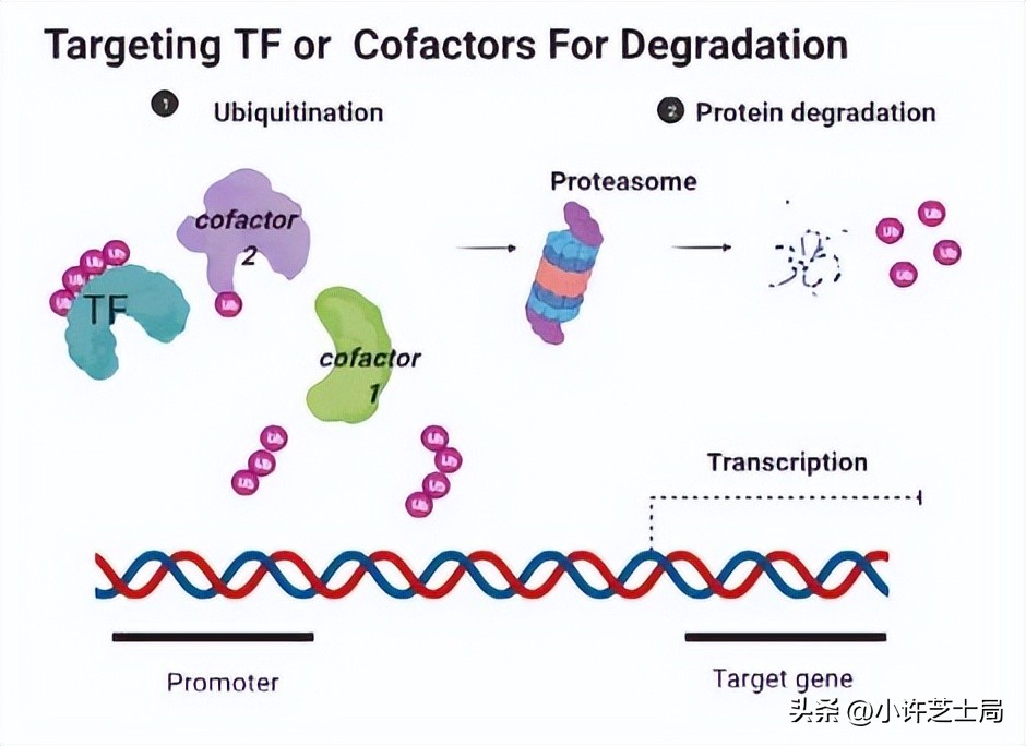 戊唑醇与磷酸二氢钾混用控旺吗,戊唑醇与磷酸二氢钾一起用吗