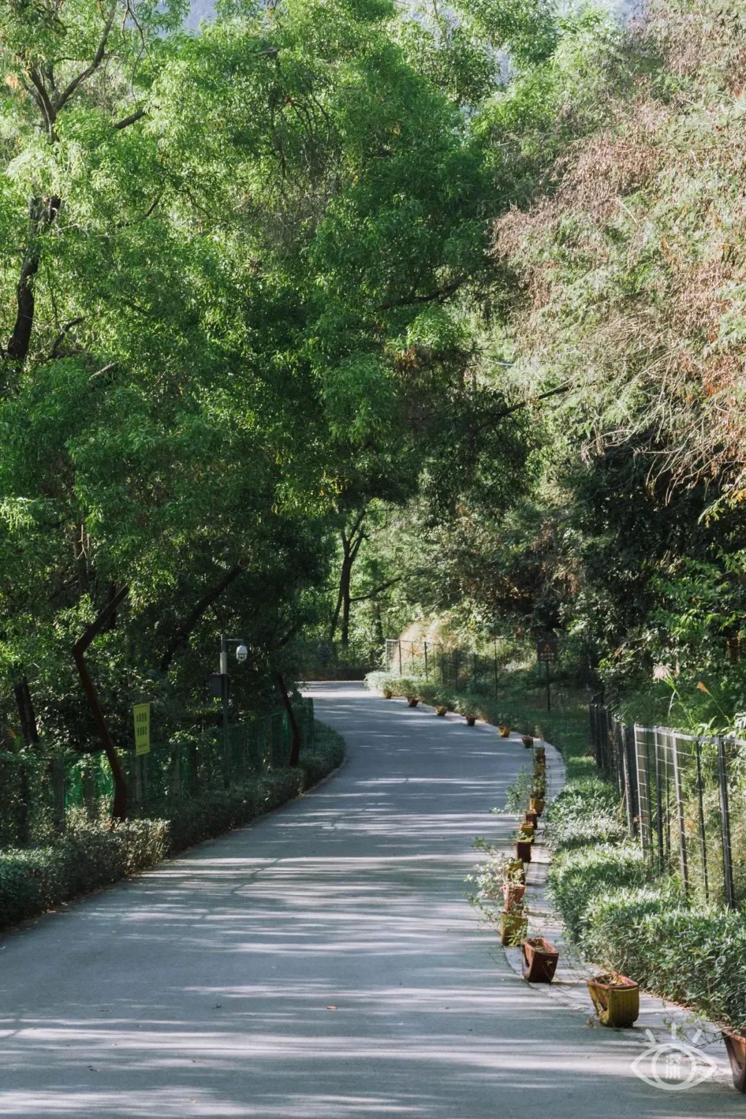 深圳户外好玩的地方推荐,深圳游玩景点户外推荐