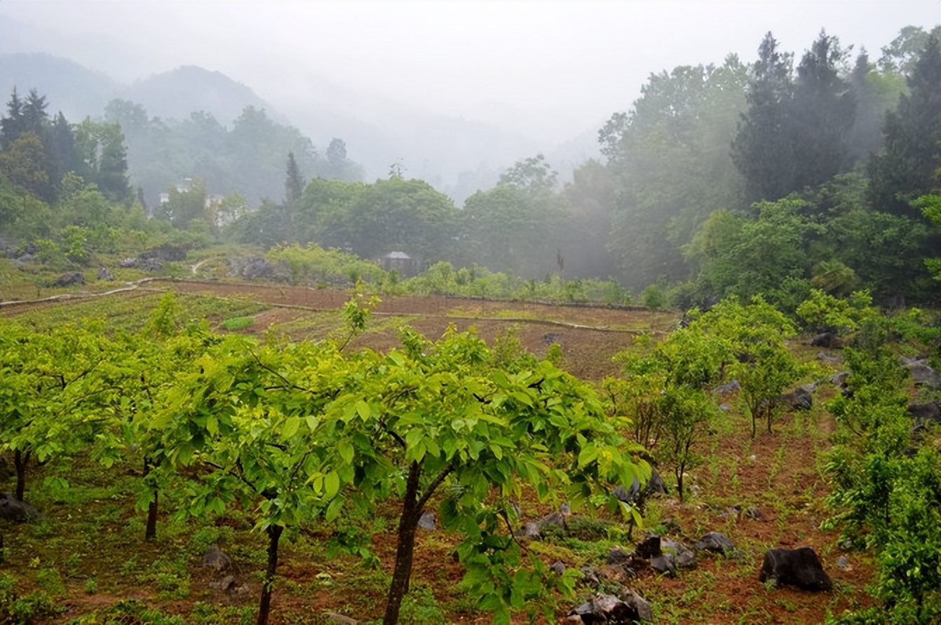 宣恩一座小城,湖北宣恩美丽的小城