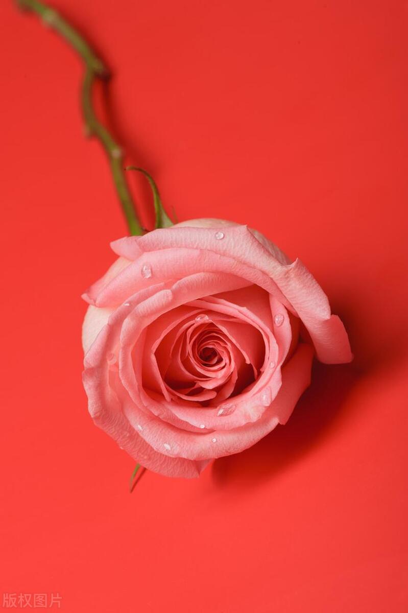 雨中的诗大全,雨夜的诗篇