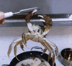 女孩子看起来外表美丽，其实裤袜已经掉到大腿根了！哈哈哈