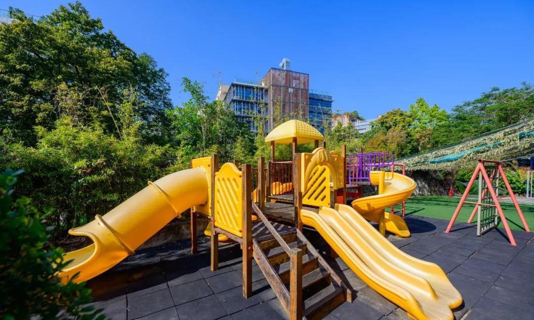 国际蒙氏幼儿园,深圳南山蒙氏幼儿园