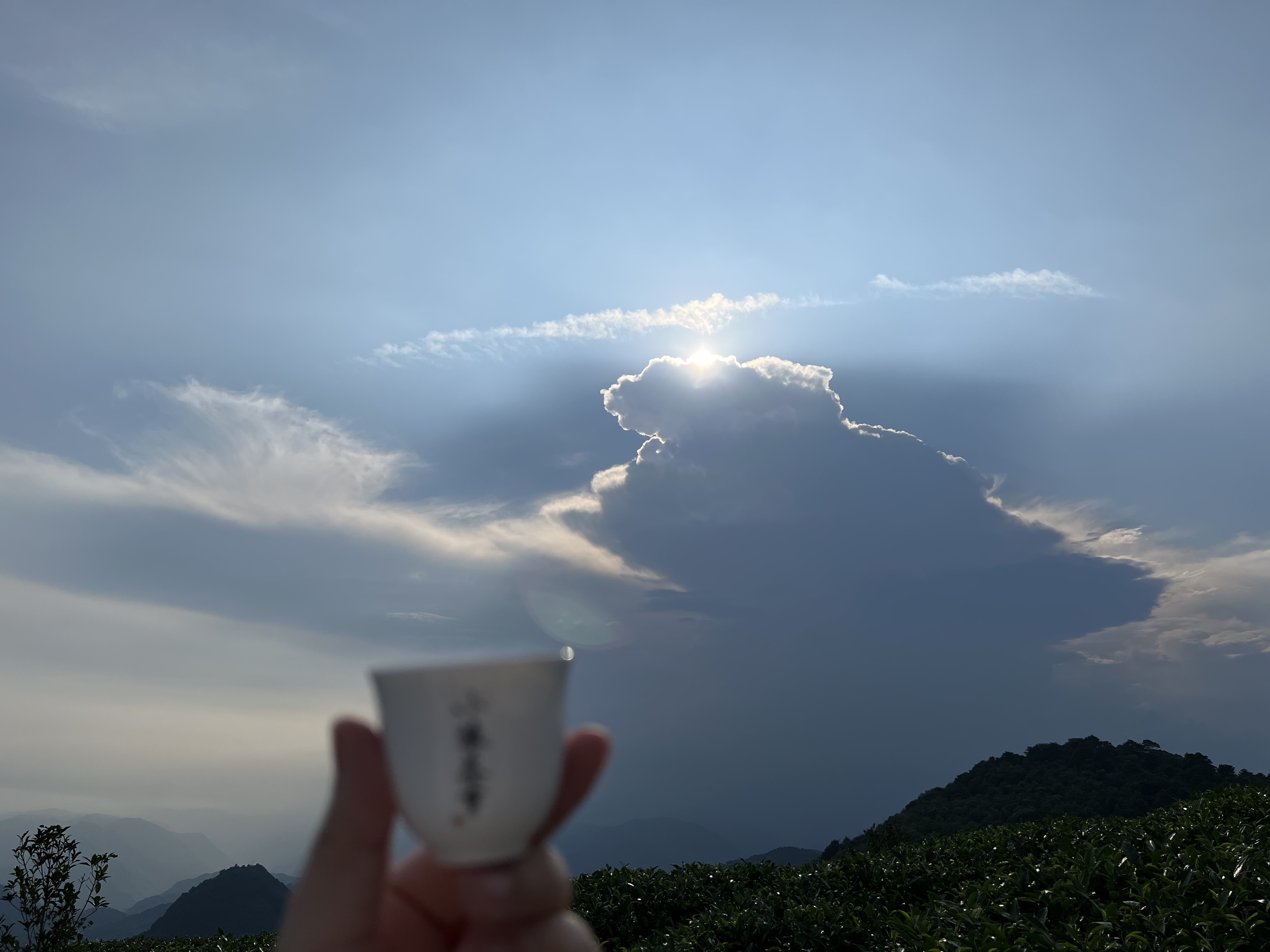 茶叶的最好的保存方法是怎么样的,六大茶类的保存方法