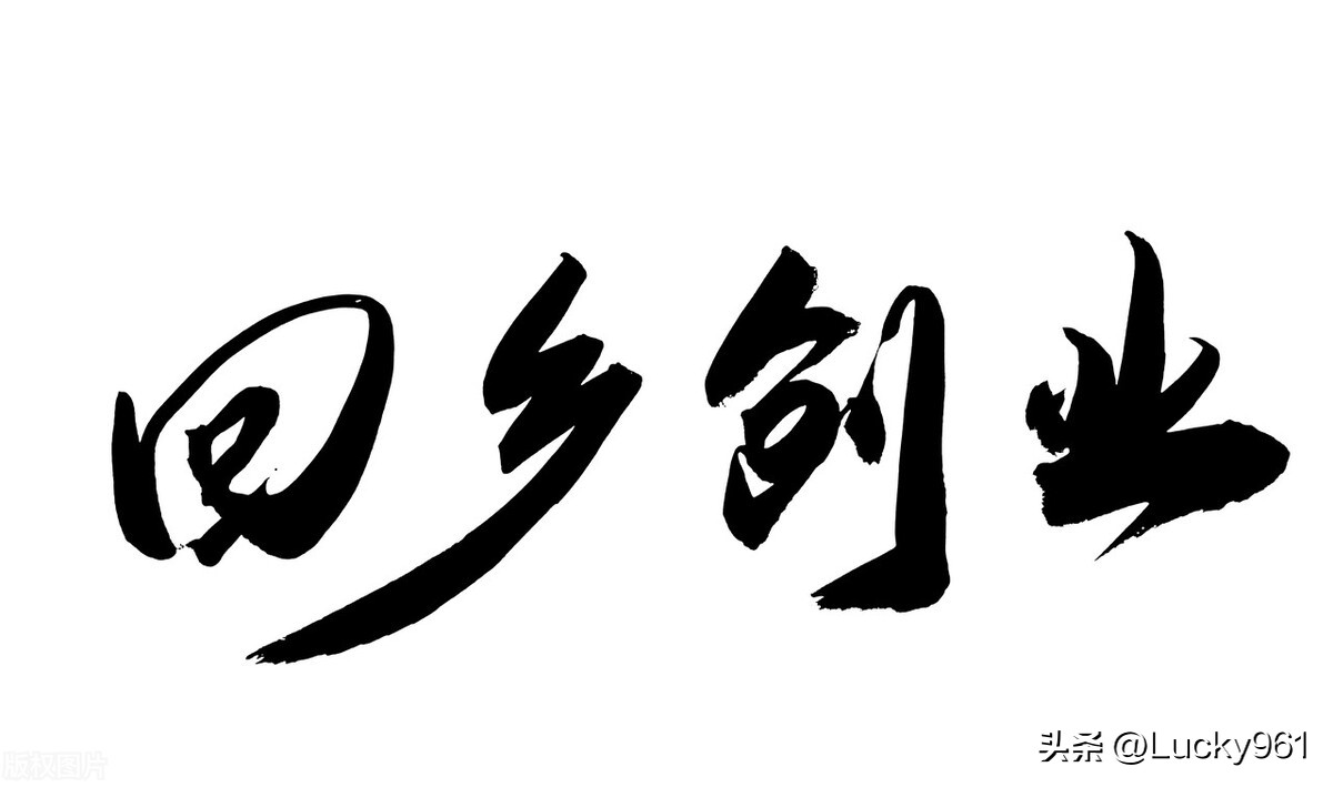 回乡创业新思路,回乡村创业成功的青年