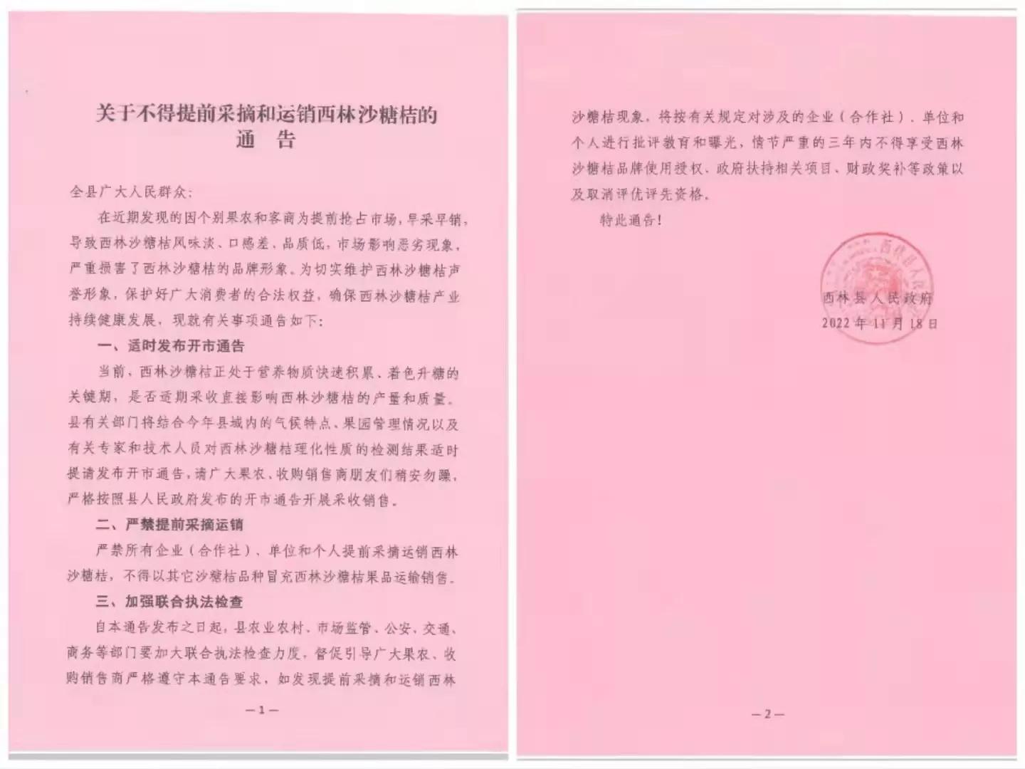 西林沙糖桔有多少,西林县沙糖桔特色