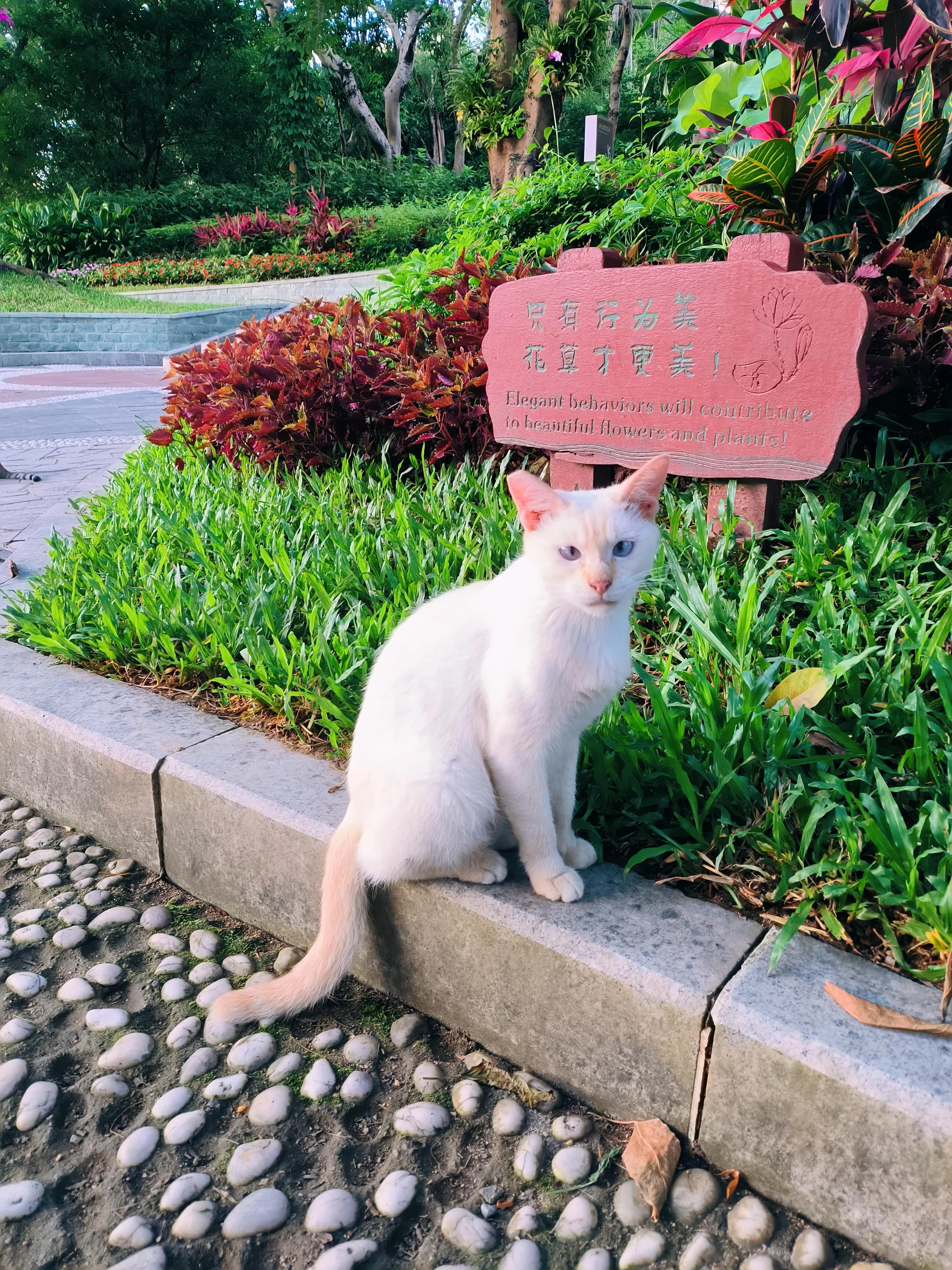 红米k50pro拍照参数,红米k50pro拍照样张