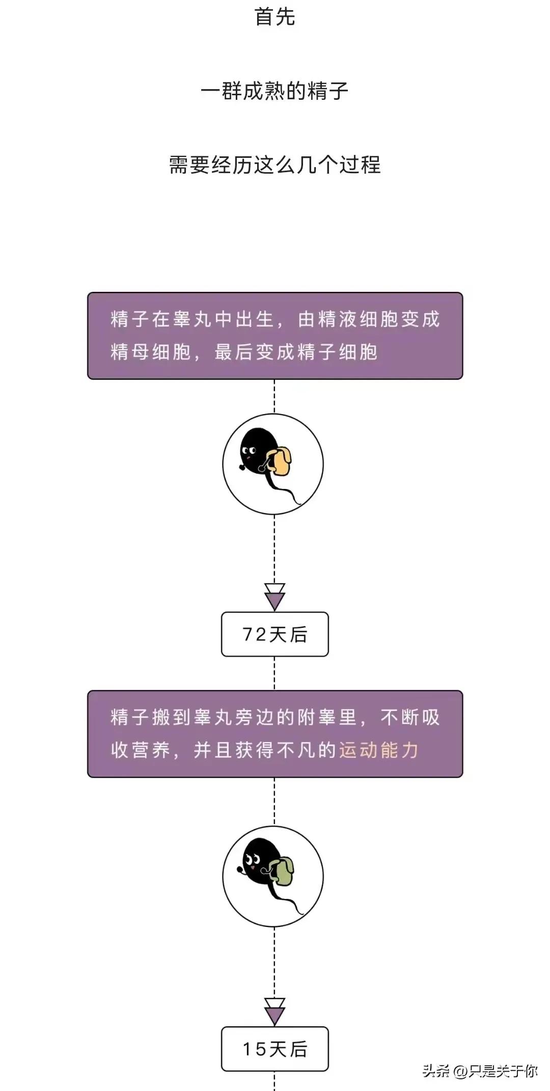 憋了10天的精子质量还好吗,憋了半个月的精子质量如何