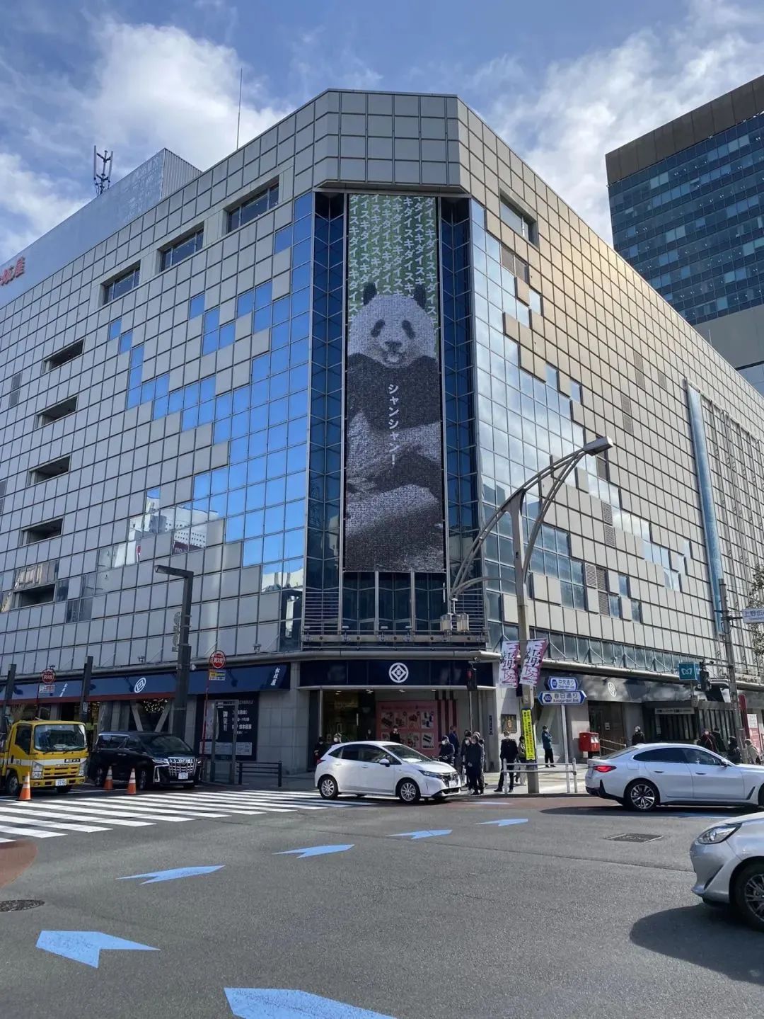 大熊猫香香回国香香出生,大熊猫香香回国后首次露面