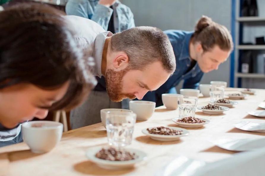 猫粮品尝师是干什么的,猫粮品尝师招聘