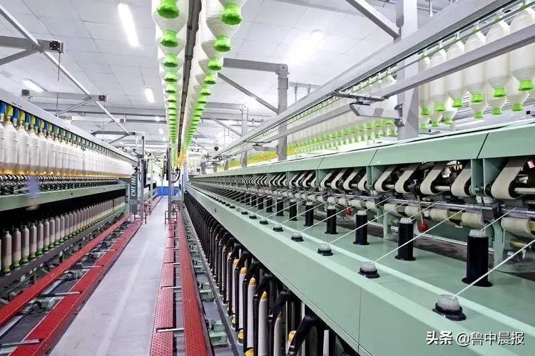 万字文全景揭秘淄博“单项冠军”