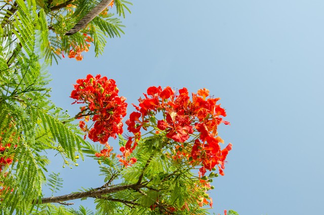 让自己变年轻的12个好习惯,让自己气质变好的方式